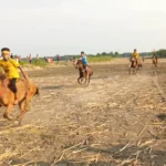 দক্ষিণাঞ্চলে নতুন অর্থনৈতিক অঞ্চলের উদ্বোধন: কর্মসংস্থানের বিশাল সুযোগ