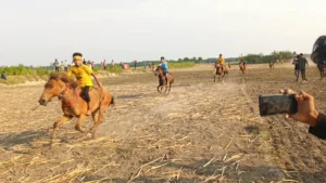 দক্ষিণাঞ্চলে নতুন অর্থনৈতিক অঞ্চলের উদ্বোধন: কর্মসংস্থানের বিশাল সুযোগ
